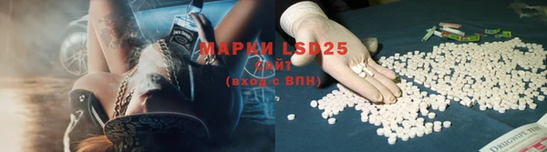 прущие грибы Навашино