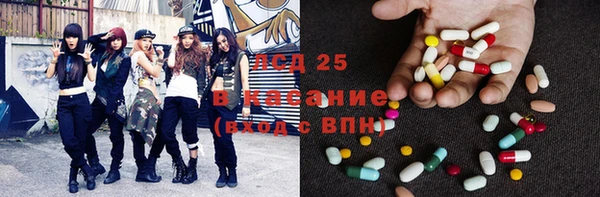прущие грибы Навашино